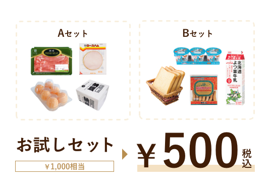 お試しセット(Aセット・Bセット)1,000円相当が500円(税込)